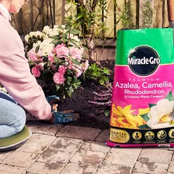 Miracle Gro Premium Azalea, Camellia & Rhododendron Ericaceous Compost - 40L 11 Miracle Gro Premium Azalea, Camellia & Rhododendron Ericaceous Compost - 40L -Bosch Store 12882812 1404843671956442