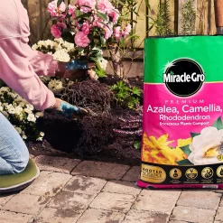 Miracle Gro Premium Azalea, Camellia & Rhododendron Ericaceous Compost - 40L 10 Miracle Gro Premium Azalea, Camellia & Rhododendron Ericaceous Compost - 40L -Bosch Store 12882812 1924843671918789