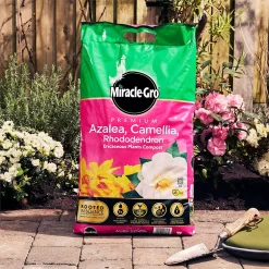 Miracle Gro Premium Azalea, Camellia & Rhododendron Ericaceous Compost - 40L 8 Miracle Gro Premium Azalea, Camellia & Rhododendron Ericaceous Compost - 40L -Bosch Store 12882812 2144843671852924