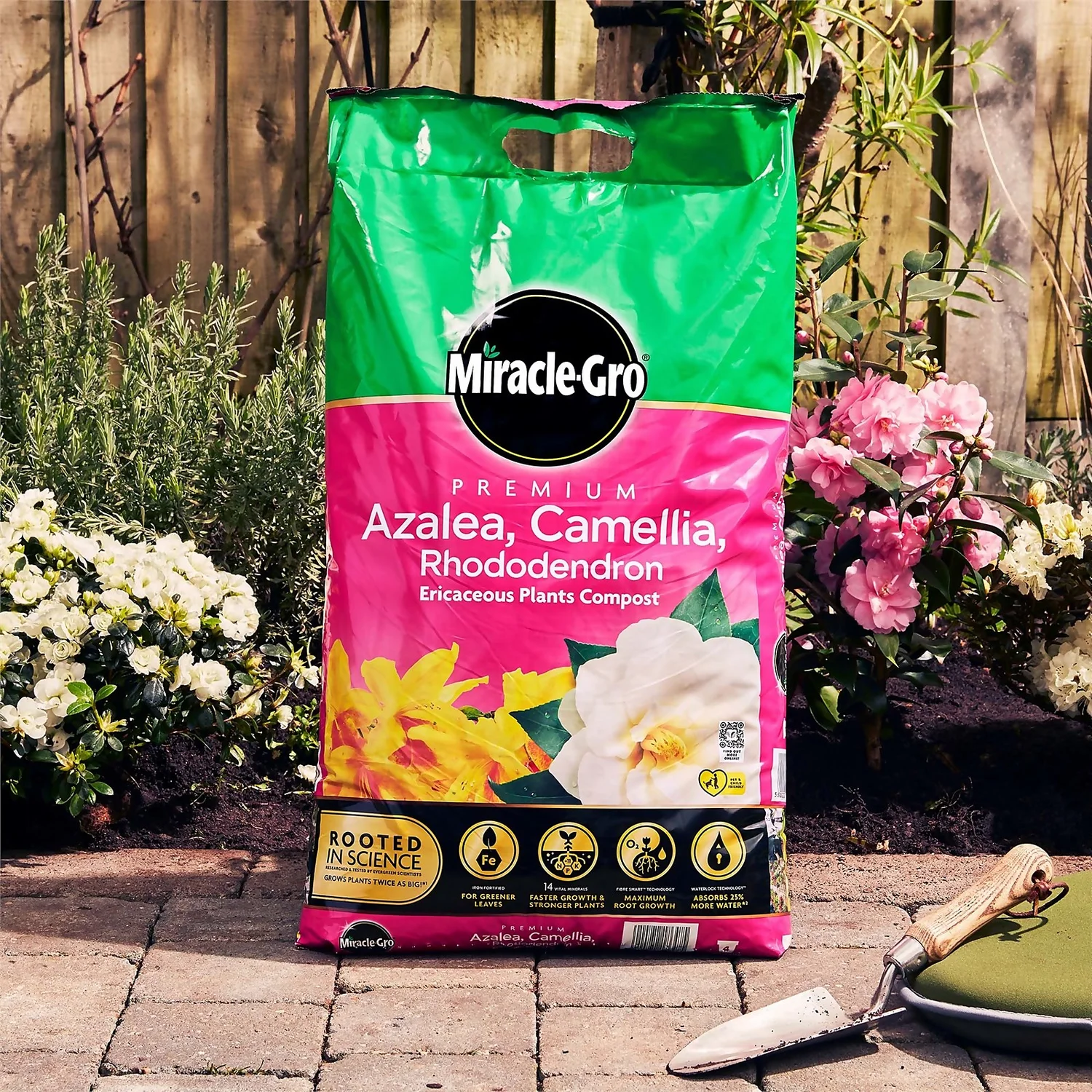 Miracle Gro Premium Azalea, Camellia & Rhododendron Ericaceous Compost - 40L 3 Miracle Gro Premium Azalea, Camellia & Rhododendron Ericaceous Compost - 40L - Image 3