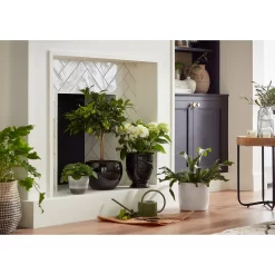 Regent Glazed Urn Planter - 39cm 13 Regent Glazed Urn Planter - 39cm -Bosch Store 12885370 7534948242967890