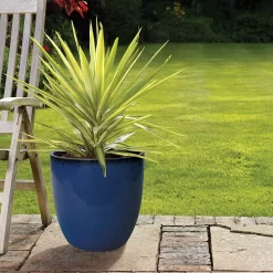 Bosch Store -Bosch Store 12885385 6565058899124684