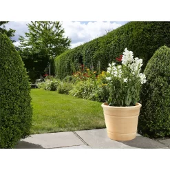 Bosch Store -Bosch Store 12885618 1874843611542826