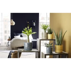 Bosch Store -Bosch Store 12888976 1364843776004950