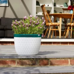 Bosch Store -Bosch Store 13188804 2114943630148507