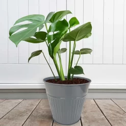 Ribbed Planter (3 Colour Mix) - 18cm -Bosch Store 13193953 1834933504482486