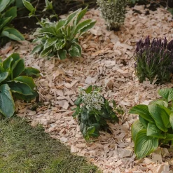 Westland Rustic Wood Chips - 60L -Bosch Store 13280769 1564929084866478