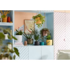 Black Ebano Plant Pot - 18cm 5 Black Ebano Plant Pot - 18cm -Bosch Store 13432919 1274948249875951