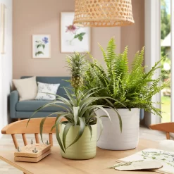 Scheurich Ripple White Indoor Pot - 20cm 5 Scheurich Ripple White Indoor Pot - 20cm -Bosch Store 13953260 1154987120198644