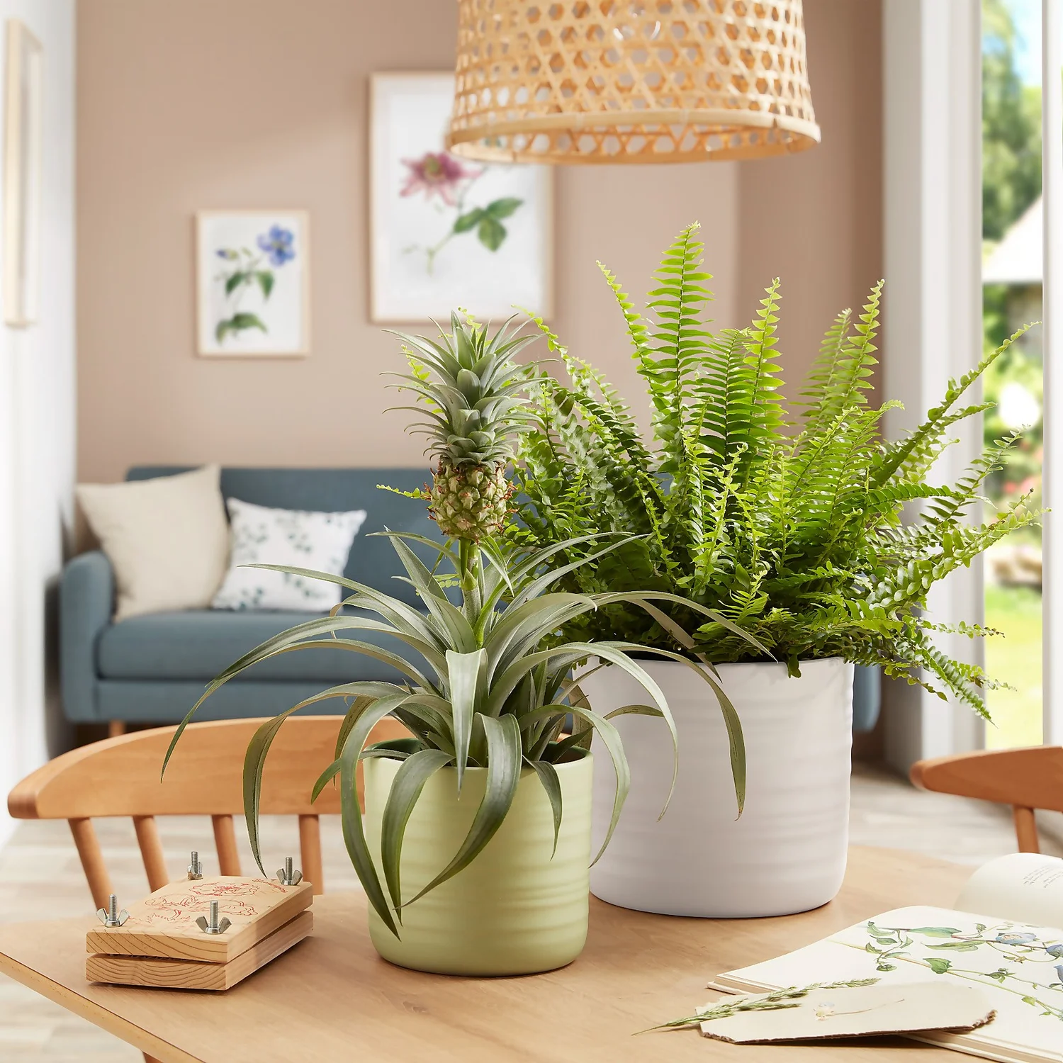 Scheurich Ripple Soft Green Indoor Pot - 17cm 2 Scheurich Ripple Soft Green Indoor Pot - 17cm - Image 2