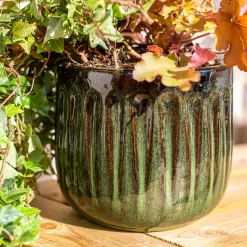 Chiswick Running Pot Green - 18cm -Bosch Store 13973646 1195011239154089