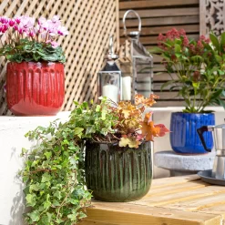 Chiswick Running Pot Green - 18cm -Bosch Store 13973646 6585011239202647