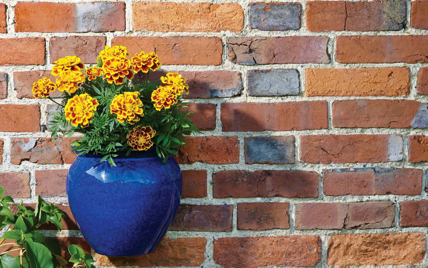 Bosch Store 49 Bosch Store -Bosch Store z6428853460675 043538be10c2dd7501bbec0b929bade6